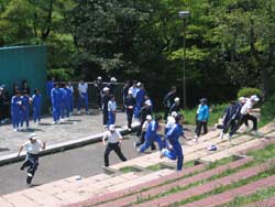 20090430_sarakura1-1.jpg